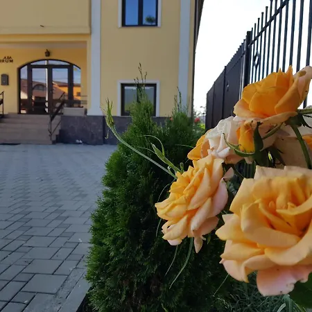 Alba Forum Alba Iulia
